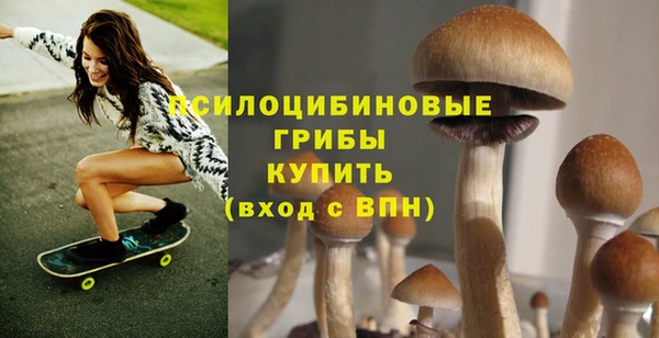 гидропоника Вязьма