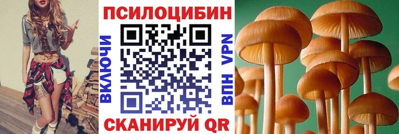 Псилоцибиновые грибы мухоморы  Западная Двина 